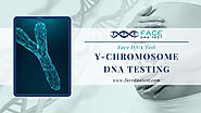 Y-Chromosome DNA testing benefits in Ancestry - Face DNA Test