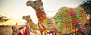 Avail tour packages Rajasthan, and explore the beauty of its desert and culture|Pushkar Camel Fair 2019
