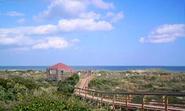 This Vacations Feel the Nature at St Augustine