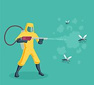 Mosquito Control Services in Ghaziabad