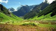 Chopta Valley