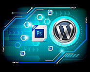 Types Of Wordpress Development Services