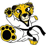 Taekwondo – Martial Arts To Improve Your Focus And Attention