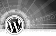 WordPress Snippets