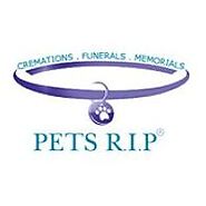 Pet Cremation Services for an Entirely Comfortable Funeral