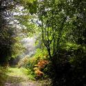 FreePhotoBank