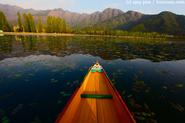 Dal Lake