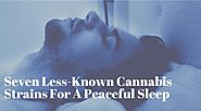 Seven Less-Known Cannabis Strains for a Peaceful Sleep