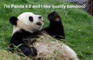 How to Recover a Business From a Google Panda 4.0 Penalty