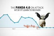 Hit By Panda 4.0 Algorithm? Here's How You Can Recover