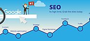 5 Questions to Ask Before Hiring an SEO Company in Pune for Your Brand Visibility - TraDove