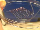 3D-Printed Human Embryonic Stem Cells Created for First Time