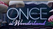 Once Upon A Time In Wonderland -season 1-