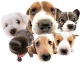 Organic Dog treats - PuppySmiles.org