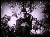 chandra babu - pirakum bothum video song