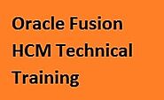 Best Oracle Fusion PPM Training