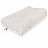 Hypoallergenic Bamboo Memory Foam Contour Pillow