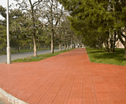 Green Driveway Pavers - Filter Pavement