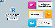 R Packages Tutorial - How to Install & Use Packages in R Programming - DataFlair