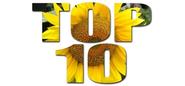 Top Ten - What To Do First | widowed.ca