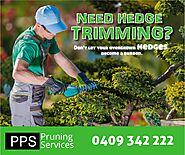 Residential, Commercial Hedge Shaping Services Koondola, Perth