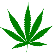 Medical cannabis - Wikipedia