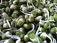 What Are The Health Benefits Of Sprouted Beans?