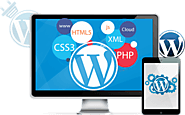 Custom WordPress Development Company in India