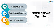 Neural Network Algorithms - Learn How To Train ANN - DataFlair