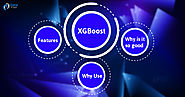 XGBoost Tutorial - What is XGBoost in Machine Learning? - DataFlair