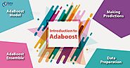 What is AdaBoost Algorithm - Model, Prediction, Data Preparation - DataFlair