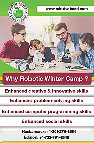 Robotic Winter Camp 2019