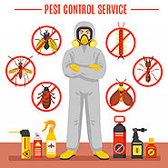 Pest Control Service in Delhi
