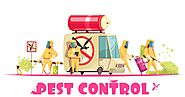Pest Control Gurgaon, Delhi & Noida