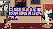 Pest Control Gurgaon - 24x7PestControl by 24x7 Pest Control Gurgaon - Issuu