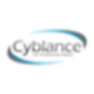 Hire Wordpress Developer & Designer | Cyblance