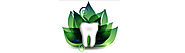 Green Dental Practice Des Moines | Plaza Dental Group