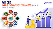 Which Web Development Services Scale Up Your Business?