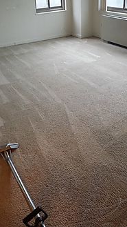 Carpet cleaning