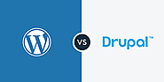 WORDPRESS VS DRUPAL: TIPS TO CHOOSE A CMS