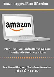 Amazon Appeal Plan Of Action