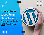 Looking For a WordPress developer for your website? Find One Now
