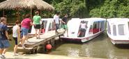 Costa Rica Ecotourism. Experience the real ecotourism with Greenway Nature Tours, a company specialized in Eco Tours ...