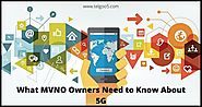 Wireless MVNO, MVNO Business, MVNO market, MVNO Network