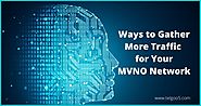 MVNO Service Providers, MVNO Provide, MVNO subscriber, MVNOs, MVNO Network