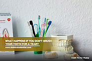 What Happens If You Don't Brush Your Teeth for a Year? - Dr. Mark Rhody Dentistry