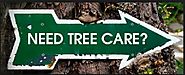 Tree Service Pro Vallejo - Professional Tree Service Provider in Vallejo