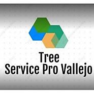 Why Should You Hire Tree Service Vallejo?