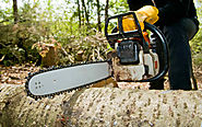 Understand Why Tree Removal Service Is Important For Backyard