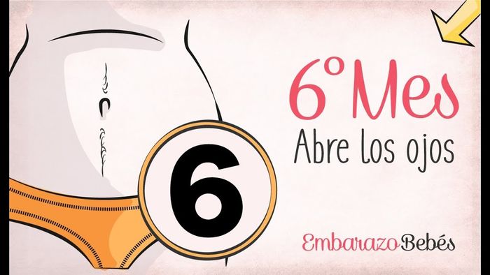 Lista De Videos Mas Populares De Embarazo A Listly List Lista De Videos Mas Populares De Embarazo A Listly List